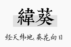 纬葵名字的寓意及含义