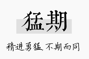 猛期名字的寓意及含义