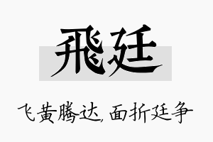 飞廷名字的寓意及含义