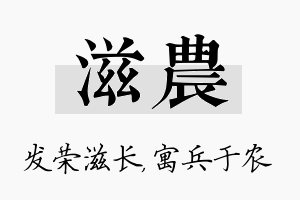 滋农名字的寓意及含义