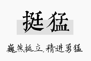 挺猛名字的寓意及含义