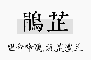 鹃芷名字的寓意及含义