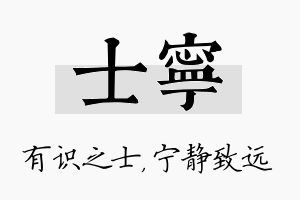 士宁名字的寓意及含义