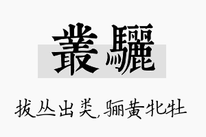 丛骊名字的寓意及含义