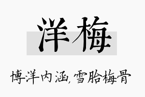 洋梅名字的寓意及含义