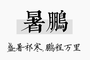 暑鹏名字的寓意及含义