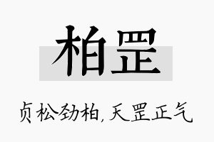 柏罡名字的寓意及含义