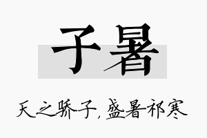 子暑名字的寓意及含义