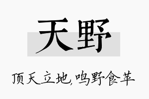 天野名字的寓意及含义