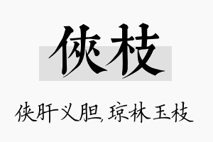 侠枝名字的寓意及含义