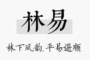 林易名字的寓意及含义