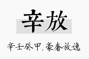 辛放名字的寓意及含义