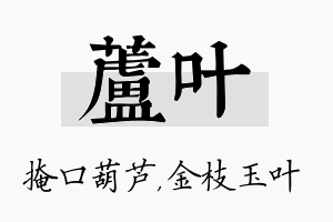 芦叶名字的寓意及含义