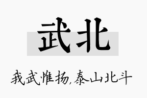 武北名字的寓意及含义