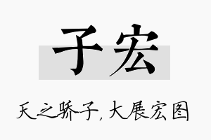 子宏名字的寓意及含义