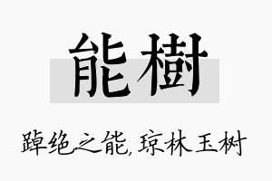 能树名字的寓意及含义