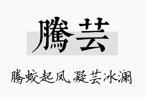 腾芸名字的寓意及含义