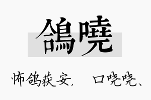 鸽哓名字的寓意及含义