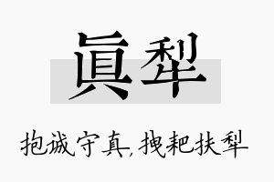 真犁名字的寓意及含义