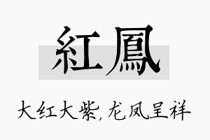 红凤名字的寓意及含义