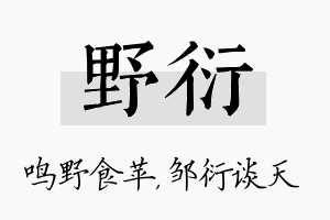 野衍名字的寓意及含义