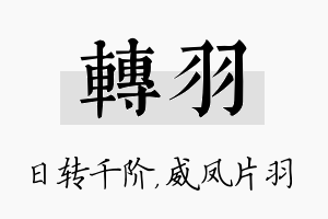 转羽名字的寓意及含义