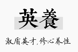 英养名字的寓意及含义