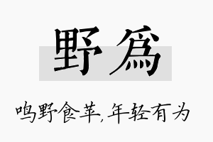 野为名字的寓意及含义