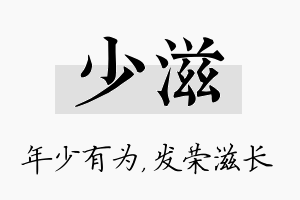 少滋名字的寓意及含义