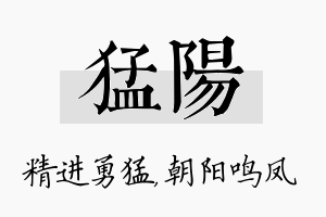 猛阳名字的寓意及含义