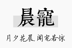 晨宠名字的寓意及含义