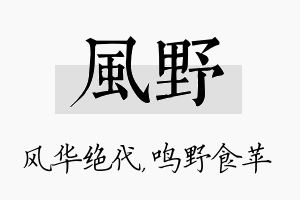 风野名字的寓意及含义