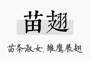 苗翅名字的寓意及含义