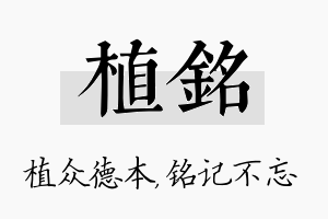 植铭名字的寓意及含义