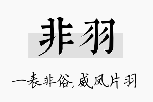 非羽名字的寓意及含义