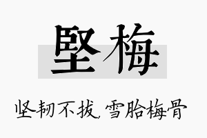 坚梅名字的寓意及含义