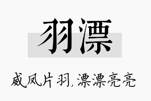 羽漂名字的寓意及含义