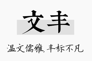 文丰名字的寓意及含义