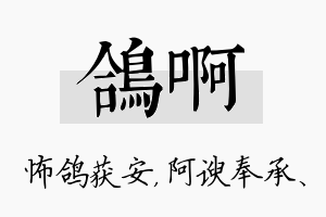 鸽啊名字的寓意及含义