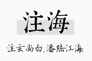 注海名字的寓意及含义