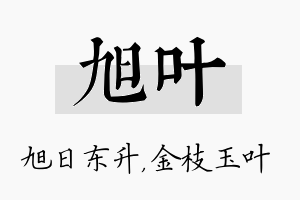 旭叶名字的寓意及含义