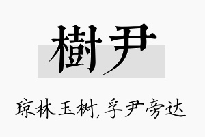 树尹名字的寓意及含义