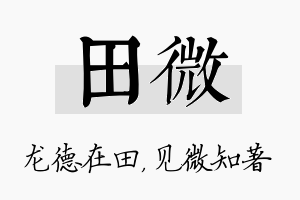 田微名字的寓意及含义