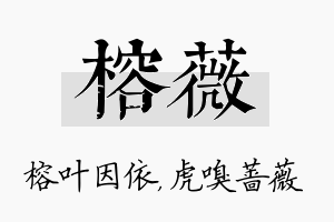 榕薇名字的寓意及含义