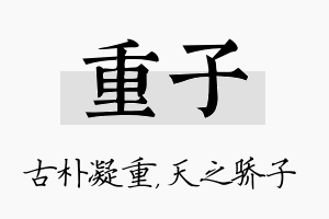 重子名字的寓意及含义