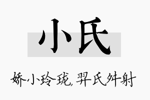 小氏名字的寓意及含义