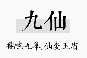 九仙名字的寓意及含义