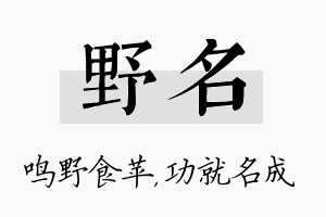 野名名字的寓意及含义