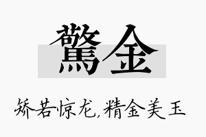 惊金名字的寓意及含义