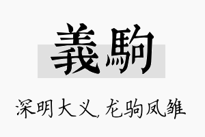 义驹名字的寓意及含义